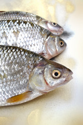 Similar image 1565844