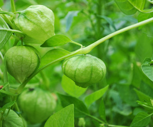 Similar image 1565847