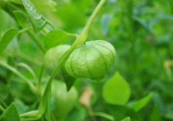 Similar image 1565848