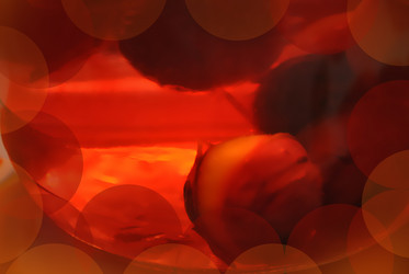 Similar image 1565850