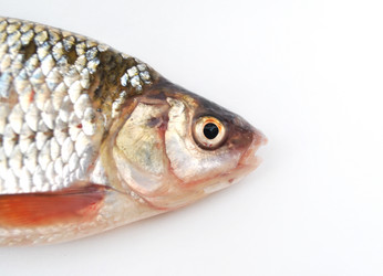 Similar image 1565851