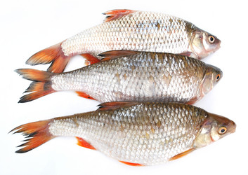 Similar image 1565852