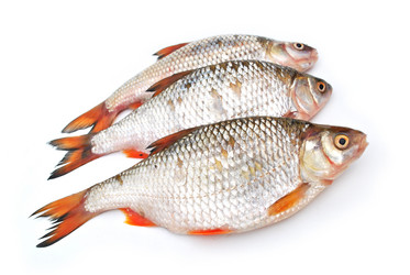 Similar image 1565853