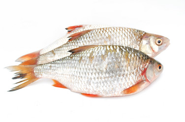 Similar image 1565854