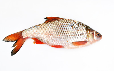 Similar image 1565855