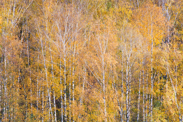 Similar image 1565859