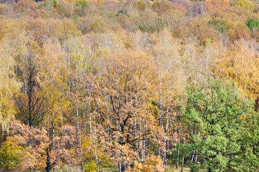 Similar image 1565861