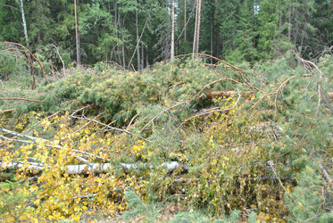 Similar image 1565865