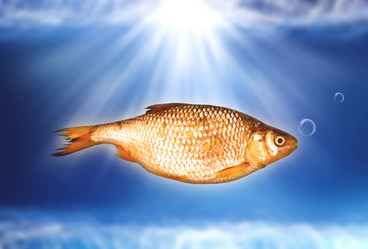 Similar image 1565866