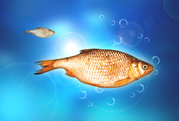 Similar image 1565867