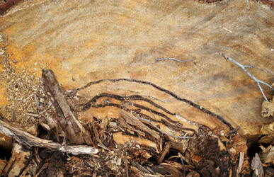 Similar image 1565869