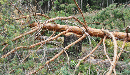 Similar image 1565872