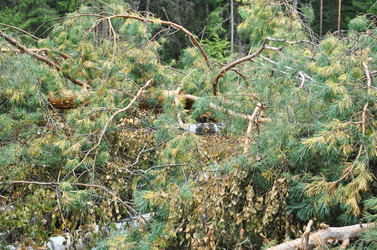 Similar image 1565874