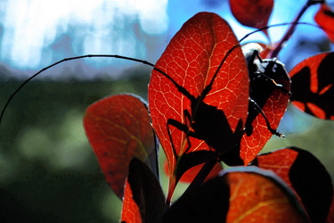 Similar image 1565905