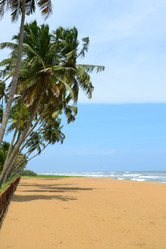 Similar image 1565910