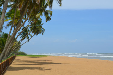 Similar image 1565911