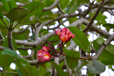 Similar image 1565913