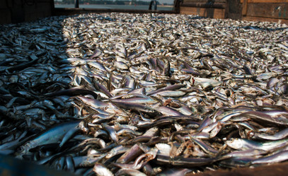 Similar image 1565928