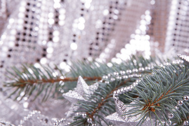 Similar image 1565954