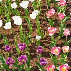 Similar image 1565957