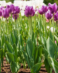 Similar image 1565958