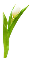 Similar image 1565962