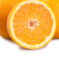 Similar image 1565963