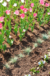 Similar image 1565965