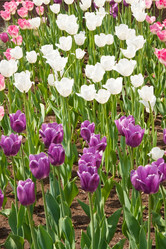 Similar image 1565966