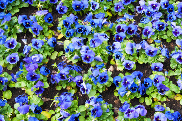 Similar image 1565975