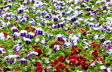 Similar image 1565976