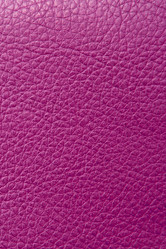 Similar image 1565977