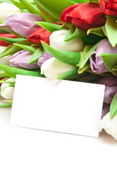 Similar image 1565979