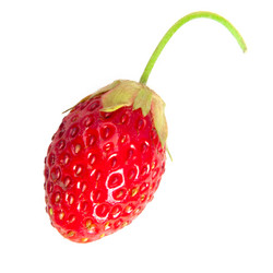 Similar image 1565980