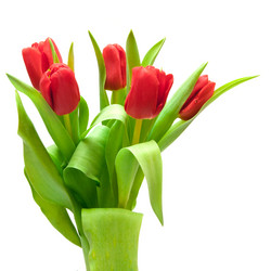 Similar image 1565981