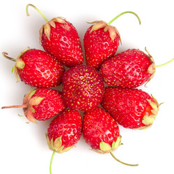 Similar image 1565982