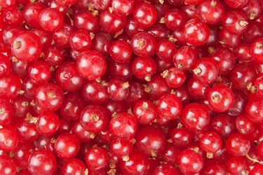 Similar image 1565983