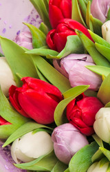 Similar image 1565985