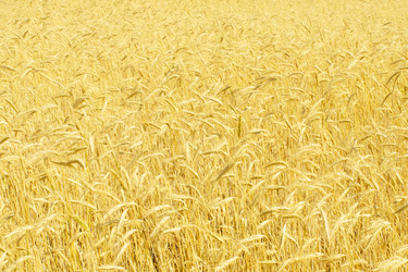 Similar image 1565988