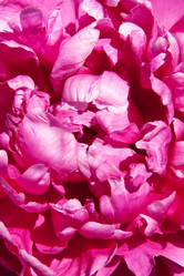 Similar image 1565990