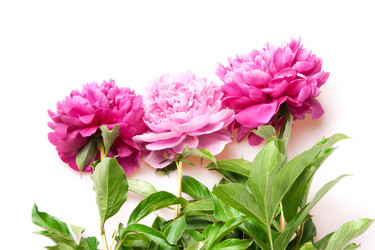 Similar image 1565992