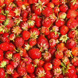 Similar image 1565995