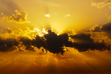 Similar image 1565997