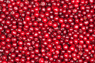 Similar image 1565999