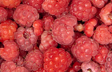 Similar image 1566001