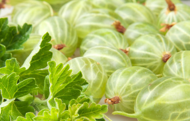 Similar image 1566003