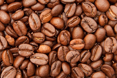 Similar image 1566006