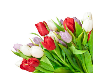 Similar image 1566009