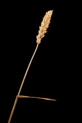 Similar image 1566011