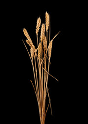 Similar image 1566012